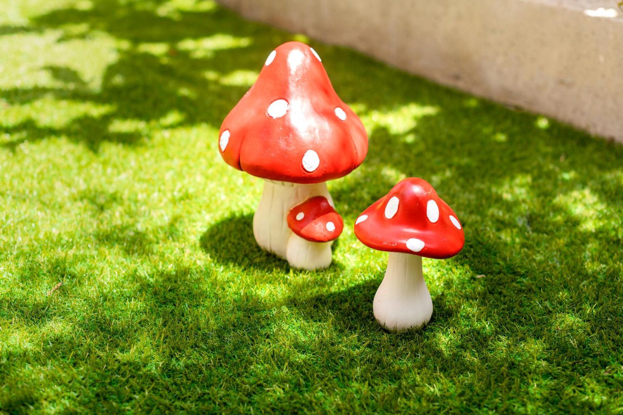Lilliput Garden Rhodes City